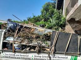 Best Residential Junk Removal in Waipio, HI